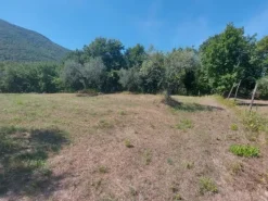 #18675 Terreni agricoli di mq 13.295