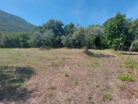 #18675 Terreni agricoli di mq 13.295