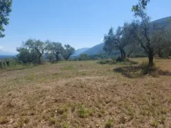 #18675 Terreni agricoli di mq 13.295