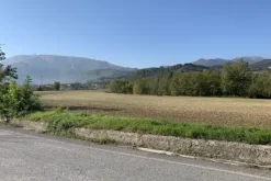 #19966 Terreni agricoli di 183506 mq