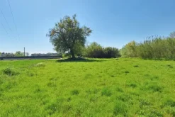 #23510 Terreni agricoli di 105.216 mq