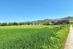 #23510 Terreni agricoli di 105.216 mq