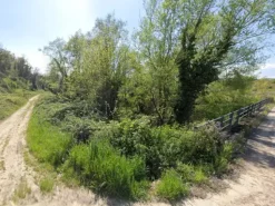 #2536792 Terreni agricoli di 11.133 mq