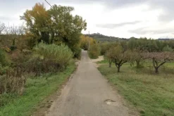 #20637 Terreni agricoli di 11.670 mq