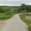 #24766 Terreni agricoli ed edificabili produttivi