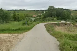 #24766 Terreni agricoli ed edificabili produttivi