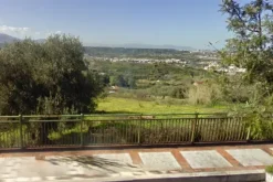 #12876 Terreni agricoli e vincolati a verde pubblico
