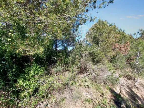 #23177 Terreni agricoli nel comune di San Bartolomeo al Mare