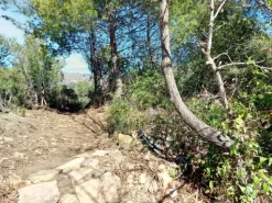 #23177 Terreni agricoli nel comune di San Bartolomeo al Mare
