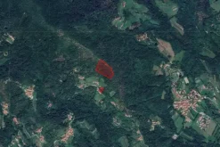 #2638791 Terreni agricoli per 21.500 mq