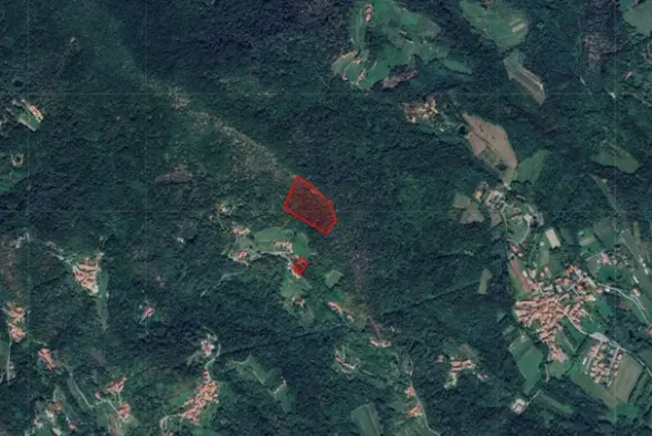 #2638791 Terreni agricoli per 21.500 mq