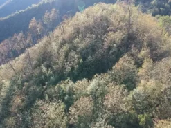 #2638783 Terreni agricoli per 25.160 mq
