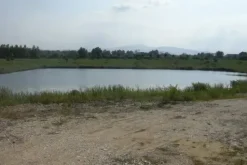 #4731 Terreni con lago e struttura grezza