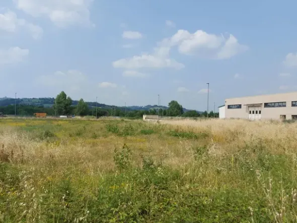 #22853 Terreni edificabili di mq 22016 per attività artigianali-produttive