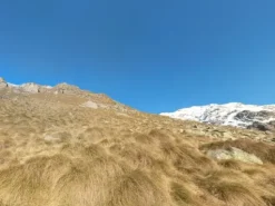 #23734 Terreni montani e fabbricati rurali