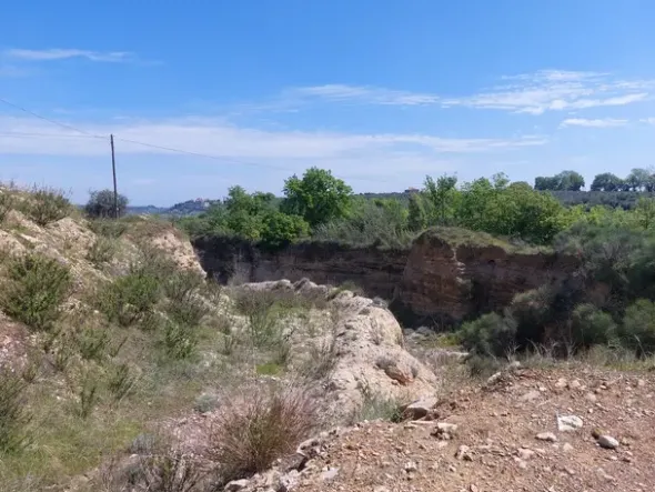 #24765 Terreno a cava di 11.990 mq