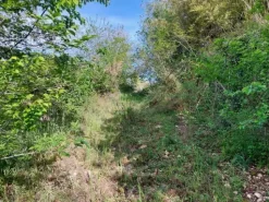 #24768 Terreno a cava di 17.220 mq