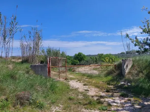 #24765 Terreno a cava di 11.990 mq