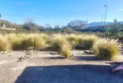 #2536145 Terreno ad uso deposito con ruderi