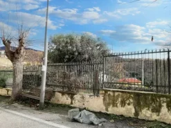 #9495 Terreno agricolo