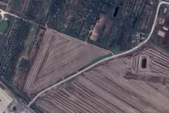 #2537337 Terreno agricolo