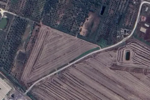 #2537337 Terreno agricolo