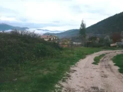 #4598 Terreno agricolo