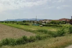#2537298 Terreno agricolo