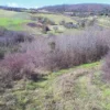 #11439 Terreno agricolo