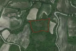 #11439 Terreno agricolo