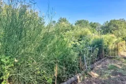#2536951 Terreno agricolo