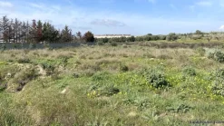 Terreno agricolo a Dolianova
