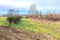 #25516 Terreno agricolo collinare