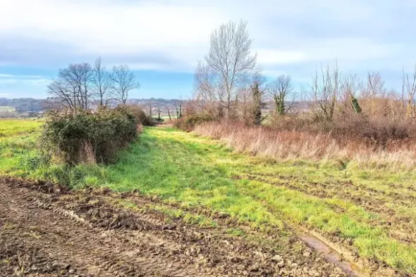 #25516 Terreno agricolo collinare
