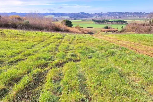#25516 Terreno agricolo collinare