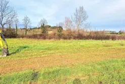 #25516 Terreno agricolo collinare