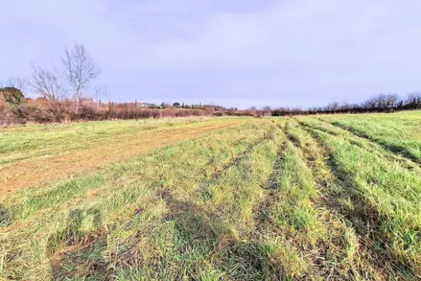 #25516 Terreno agricolo collinare