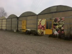 #19914 Terreno agricolo con abitazione e servizi