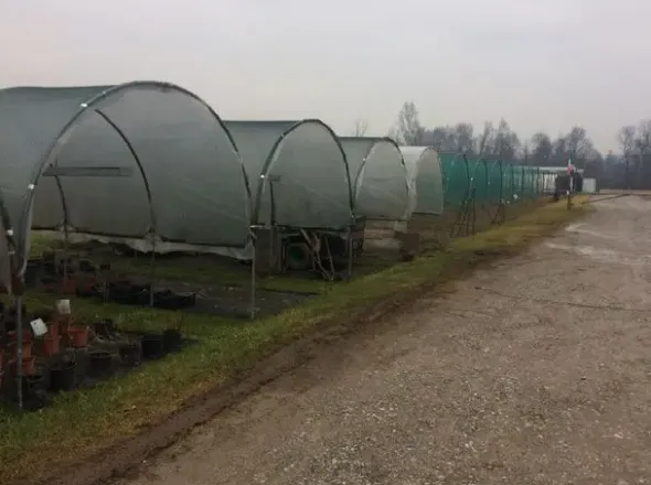 #19914 Terreno agricolo con abitazione e servizi