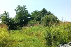 #23624 Terreno agricolo con baracche da demolire