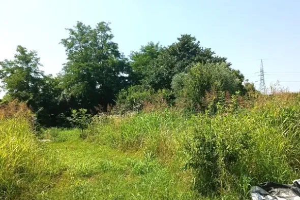 #23624 Terreno agricolo con baracche da demolire