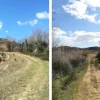 #15987 Terreno agricolo con locali rurali