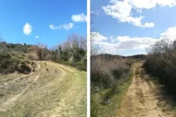 #15987 Terreno agricolo con locali rurali