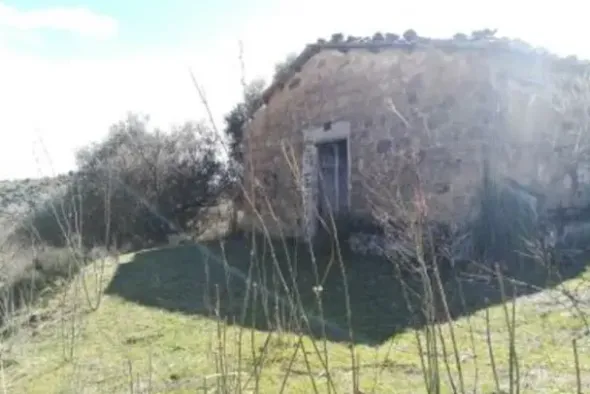 #15987 Terreno agricolo con locali rurali