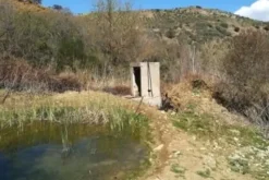 #15987 Terreno agricolo con locali rurali