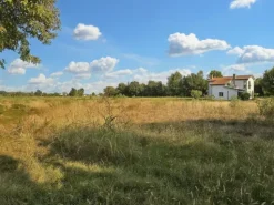 #24328 Terreno agricolo con manufatto precario ad uso deposito