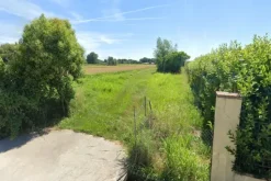 #2537064 Terreno agricolo con possibile trasformazione in edificabile