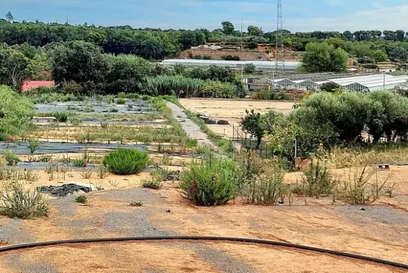 #24371 Terreno agricolo con pozzo di attingimento