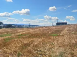 #23842 Terreno agricolo di mq31380