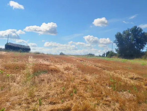 #23842 Terreno agricolo di mq31380